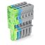 1-conductor female connector CAGE CLAMP® 4 mm² green-yellow, blue, gra thumbnail 1