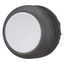 Pushbutton, RMQ-Titan, Flat, momentary, gray, Blank, Bezel: black thumbnail 6