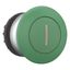 Mushroom actuator, RMQ-Titan, Mushroom, momentary, Mushroom green, green, inscribed, Bezel: titanium thumbnail 11