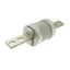 Fuse-link, low voltage, 300 A, AC 600 V, DC 250 V, HRCII-MISC, 59 x 136 mm, gL/gG, CSA thumbnail 4