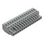 1-conductor female connector CAGE CLAMP® 2.5 mm² gray thumbnail 1