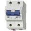 High Current Miniature Circuit Breaker C 100/2, 10kA thumbnail 2