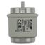 Fuse-link, low voltage, 125 A, AC 500 V, D5, 56 x 46 mm, aR, DIN, IEC, ultra rapid thumbnail 6