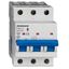 Miniature Circuit Breaker (MCB) AMPARO 10kA, C 63A, 3-pole thumbnail 1
