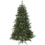 Christmas Tree Bergen thumbnail 2