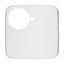 1790-581-214 CoverPlates (partly incl. Insert) Data communication Alpine white thumbnail 5