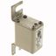 Fuse-link, high speed, 160 A, AC 690 V, DIN 00, 30 x 51 x 100 mm, aR, DIN, IEC, single indicator thumbnail 4