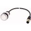 Pushbutton, Flat, momentary, 1 N/O, Cable (black) with M12A plug, 4 pole, 0.2 m, White, Blank, Bezel: titanium thumbnail 1