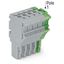 1-conductor female connector Push-in CAGE CLAMP® 4 mm² gray, green-yel thumbnail 2