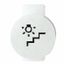 LENS WITH ILLUMINATED SYMBOL FOR COMMAND DEVICES - STAIR LIGHT - SYMBOL STAIR - SYSTEM WHITE thumbnail 2