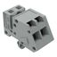1-conductor female connector, angled CAGE CLAMP® 2.5 mm² gray thumbnail 5