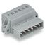 1-conductor male connector CAGE CLAMP® 2.5 mm² gray thumbnail 3