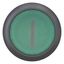 Illuminated pushbutton actuator, RMQ-Titan, Flush, momentary, green, inscribed, Bezel: black thumbnail 10