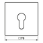 Centre plate f. key switch LS925WW thumbnail 2