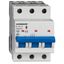 Miniature Circuit Breaker (MCB) AMPARO 10kA, D 10A, 3-pole thumbnail 1