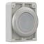Illuminated pushbutton actuator, RMQ-Titan, Flat, momentary, White, Blank, Metal bezel thumbnail 12