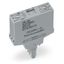 Relay module Nominal input voltage: 24 VDC 1 changeover contact gray thumbnail 1