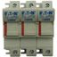 Fuse-holder, low voltage, 50 A, AC 690 V, 14 x 51 mm, 3P, IEC, With indicator thumbnail 2