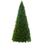 Christmas Tree Colorado thumbnail 2