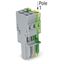 1-conductor female connector CAGE CLAMP® 4 mm² green-yellow/gray thumbnail 3