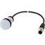 Indicator light, Flush, Cable (black) with M12A plug, 4 pole, 0.2 m, blue/white/red, 24 V DC thumbnail 3