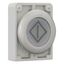 Illuminated pushbutton actuator, RMQ-Titan, Flat, momentary, White, inscribed, Metal bezel thumbnail 7