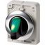 Illuminated selector switch actuator, RMQ-Titan, With thumb-grip, momentary, 2 positions, green, Metal bezel thumbnail 2