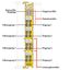 Fail-safe 4-channel digital input 24 VDC PROFIsafe V2.0 iPar yellow thumbnail 1