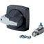 Rotary handle, 6mm, door installation, gray, padlock thumbnail 4