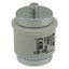 Fuse-link, low voltage, 200 A, AC 500 V, D5, 56 x 46 mm, gR, DIN, IEC, fast-acting thumbnail 18