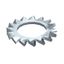 SWS M12 G Serrated washer  M12 thumbnail 1