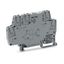 859-702 Optocoupler module; Nominal input voltage: 5 VDC; Output voltage range: 0 … 24 VDC thumbnail 1