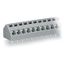 PCB terminal block 2.5 mm² Pin spacing 5/5.08 mm light gray thumbnail 3