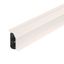 SLL 2050 cws Skirting trunking SL-L Set 20x50 seal. 9001 thumbnail 1