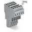 2-conductor female connector CAGE CLAMP® 4 mm² gray thumbnail 5