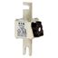 Fuse-link, high speed, 550 A, AC 690 V, DIN 1, 53 x 69 x 138 mm, aR, DIN, IEC, single indicator thumbnail 6