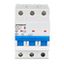 Miniature Circuit Breaker (MCB) AMPARO 6kA, B 40A, 3-pole thumbnail 3