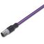 PROFIBUS cable M12B plug straight 5-pole violet thumbnail 1