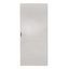 Sheet steel door for 1 door enclosure H=2000 W=800 mm thumbnail 1