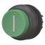 Pushbutton, RMQ-Titan, Extended, maintained, green, inscribed, Bezel: black thumbnail 8