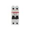 S202P-D40 Miniature Circuit Breaker - 2P - D - 40 A thumbnail 5