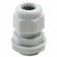 NYLON CABLE GLAND -  PG PITCH 29 - GREY RAL 7035 - IP68 thumbnail 2