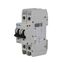 Miniature circuit breaker (MCB), 5 A, 2p, characteristic: D thumbnail 8