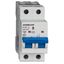 Miniature Circuit Breaker (MCB) AMPARO 10kA, D 25A, 2-pole thumbnail 1