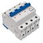 Miniature Circuit Breaker (MCB) AMPARO 6kA, B 10A, 4-pole thumbnail 5