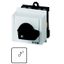 On switches, T0, 20 A, service distribution board mounting, 2 contact unit(s), Contacts: 3, Spring-return in position 1, 45 °, momentary, With spring- thumbnail 1