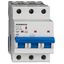 Miniature Circuit Breaker (MCB) AMPARO 10kA, C 2A, 3-pole thumbnail 1