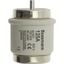 Fuse-link, low voltage, 125 A, AC 500 V, D5, 56 x 46 mm, gL/gG, DIN, IEC, time-delay thumbnail 2