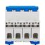 Main Load-Break Switch (Isolator) 125A, 4-pole thumbnail 6