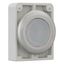 Illuminated pushbutton actuator, RMQ-Titan, Flat, maintained, White, Blank, Metal bezel thumbnail 7